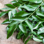 curry-leaves